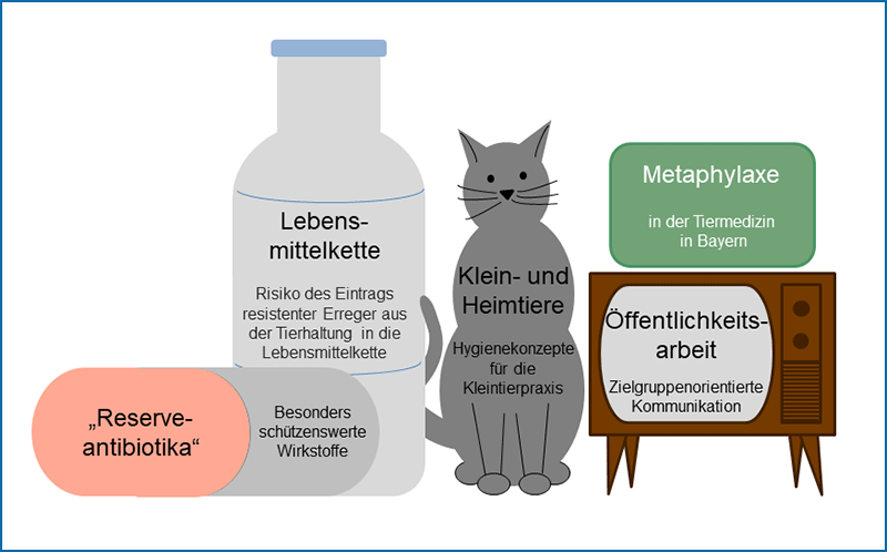 Sinnbildliche Darstellung der Facharbeitsgruppen der ARE-Vet (von links nach rechts):
Eine Kapsel mit der Aufschrift: „Reserveantibiotika“, Besonders schützenswerte Wirkstoffe
Eine Flasche mit der Aufschrift: „Lebensmittelkette“, Risiko des Eintrags resistenter Erreger aus der Tierhaltung in die Lebensmittelkette“
Eine Katze mit der Aufschrift: „Klein- und Heimtiere“, Hygienekonzepte für die Kleintierpraxis
Ein Fernseher mit der Aufschrift: „Öffentlichkeitsarbeit“, Zielgruppenorientierte Kommunikation
Über dem Fernseher ein grüner Kasten mit der Aufschrift „Metaphylaxe“ in der Tiermedizin in Bayern
